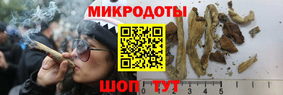 Галлюциногенные грибы MAGIC MUSHROOMS Чернушка